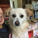 연희농장 이미지