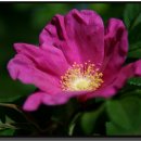 천북중학교 이미지