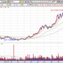 와이디팜 이미지