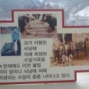 수달 화장실 이미지