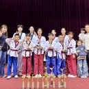 용인대 명성태권도장 이미지