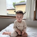 돌아기랑 함께하는 제주 한달살이 기록 Day3(마미포유, 미송식당,최고이비인후과,올데이포케)