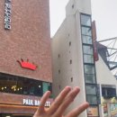 [DIARY] 230715 / &#39;그때 그 시절의 향수&#39; 뮤지컬 &lt;다시, 동물원&gt; 후기