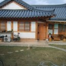 순천만 목향