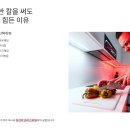 다마스쿠스학원 | 명품 주방칼 고르는 법, 실패 없는 선택 기준