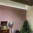 펄미에이트 이미지