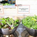 장안농장 이미지