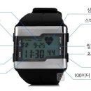 베스트스포츠 - 속초시 교동로 56-1 | 베스트스포츠