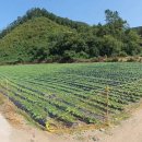 부흥보건지소 이미지