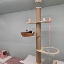 츄냥이 하우스 이미지