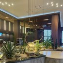 노아스로스팅은파호수점 | 군산 노아스로스팅, 은파호수 벚꽃뷰 추천 카페