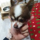 해든 이미지