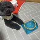 단골가개 이미지