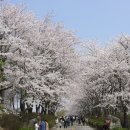 정권목장 이미지