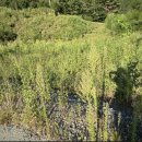 거제중앙로10길 이미지