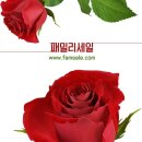 카페패밀리 이미지