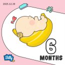 11650-17-20-5 | [임신일기] 임신 17주 ~ 20주차 | 임신 중기 시작, 태교일기 &amp; 육아템 당근