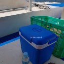 제2지송농장 | [필리핀여행] 보홀 단독 호핑투어,해상투어 후기 / 보홀 호핑투어 업체 보홀스케치 이용 후기