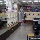 동양애견 강아지분양 고양이분양 이미지