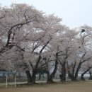 아산초등학교 이미지