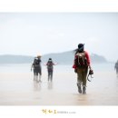바다바라길 이미지