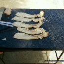 욱일농장 이미지