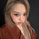 헤메코