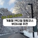 [제천] 포레스트리솜 겨울철 1박2일 힐링 코스와 부대시설 추천