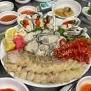 굴나라 | 대전 월평동 노포 굴보쌈 맛집 통영굴나라 주말 웨이팅 후기