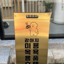 몽몽솔솔 | 광주 화정동 애견미용실 추천 가성비 말티즈 미용후기 : 몽몽솔솔