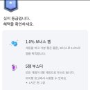 랩업 이미지