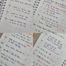 부산외국어고 | 부산외고 일주일 후기