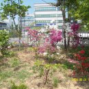 송우농장 이미지