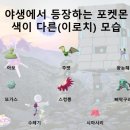 원더 스페이스 이미지