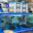 로또수산 이미지