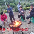 십일남매 이미지