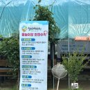 새자리농원 | [청주] 청주 철인농원 후기｜아이와 물놀이하기 | 주차·운영시간 꿀팁 . 물놀이 짐싸기 꿀팁 !!!