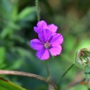 대공원역 이미지