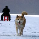 아이편한세상 이미지