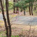 한양파인컨트리클럽 이미지