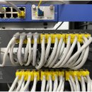 대성네트워크 이미지