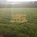 여주한강공인중개사사무소 이미지