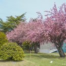 신선로 447번길 이미지