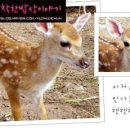 보현산농장 이미지
