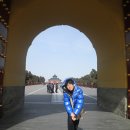 판가원 티스토리