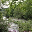 송이용소 이미지