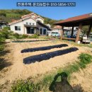 일죽약국 이미지