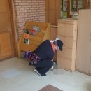 (합)선경동물약품 | 울산바퀴벌레퇴치 안심하고 이용할 수 있는곳을 찾는다면?!