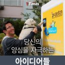 가자 이미지