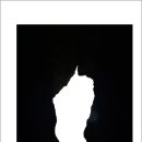 신안힐링 이미지